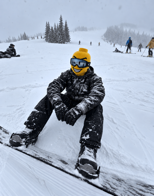 BRICKFACE SKI MASK