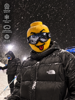 BRICKFACE SKI MASK
